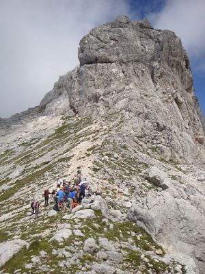 Kliknite za ogled večje slike