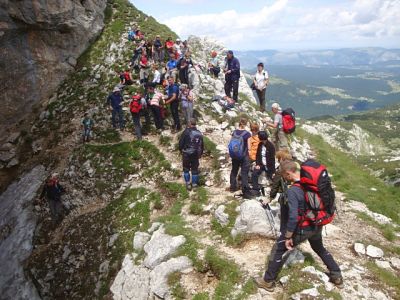 Kliknite za ogled večje slike