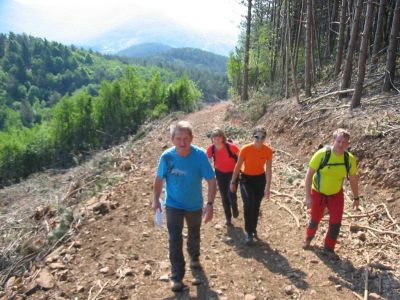 Kliknite za ogled večje slike