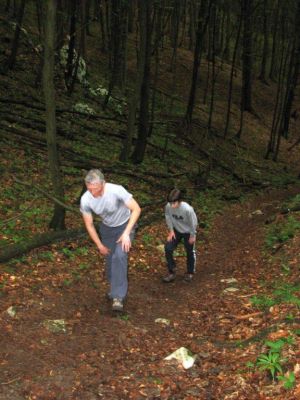 Kliknite za ogled večje slike