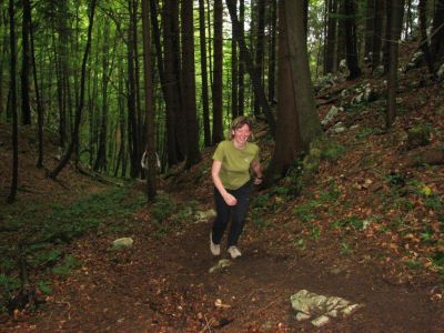 Kliknite za ogled večje slike