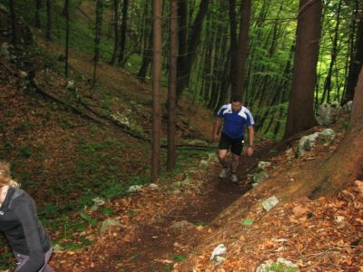 Kliknite za ogled večje slike