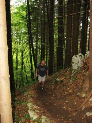 Kliknite za ogled večje slike