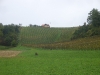 balkanika-2012-20