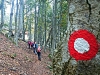 baseljski-vrh-057