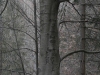 p3210036