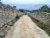 img-043c5d8f88805a5ba8c2988efa176bb8-v