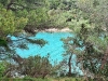img-c67b24584e1a6bc44b844ef8bccdb819-v
