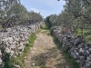 img-d16043c830f427c223d467a1a7c14be5-v