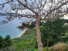 img-f77b19ebf06d8bb9b83bd8dc05a3f352-v
