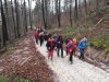 Limbarska gora limbarska-gora-004