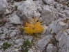 12-img_3606