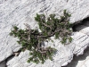 18-img_5936