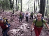 goli-vrh-2013-11