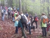 goli-vrh-2013-12