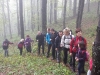goli-vrh-2013-13