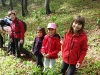goli-vrh-2013-16