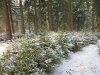 koroska-pot-3-del-ogled-27-2-2016-035