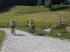 image00010