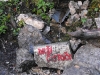 macesnovec-07