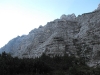 macesnovec-08