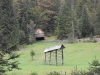 macesnovec-24