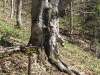 20180421_100940
