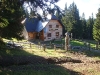 smrekovec-bukovnik-002