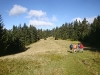 smrekovec-bukovnik-009
