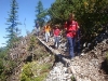 smrekovec-bukovnik-072