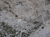 p8180053