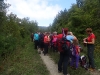 motovun-19