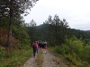 motovun-6