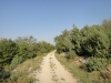 image00001