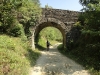 image00003