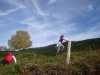 pot-2012-10