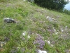 ratitovc-018