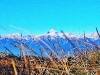 img_20141031_210108