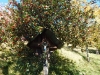 dscn0434
