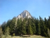 lepenatka-rogatec-2012-07