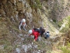 lepenatka-rogatec-2012-10