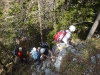 lepenatka-rogatec-2012-12