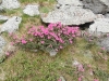 p6300069