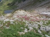 p6300095