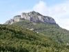 p7010162