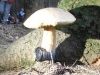 p7010170