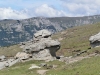 p7030202
