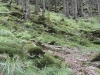 p7060295