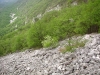 image00006