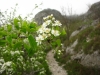 image00007